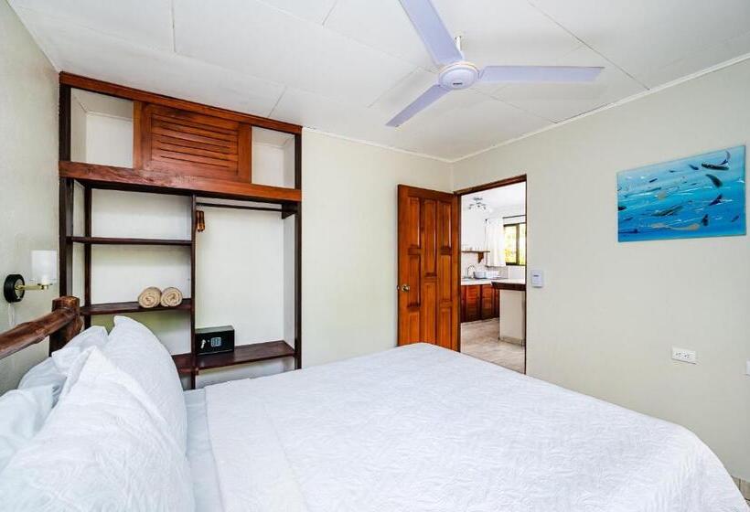 Отель El Sueno Tropical