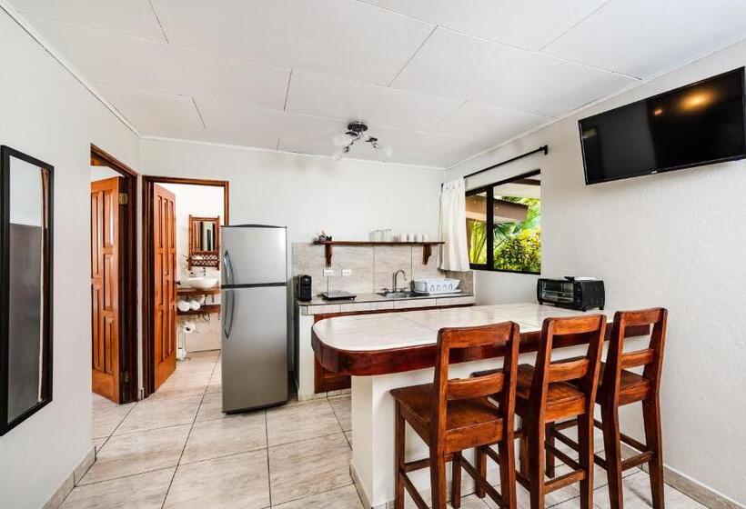 Отель El Sueno Tropical