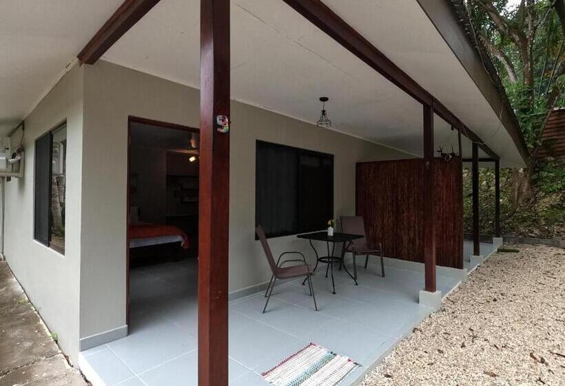 Отель El Sueno Tropical