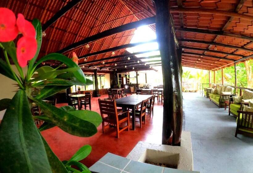 Отель El Sueno Tropical