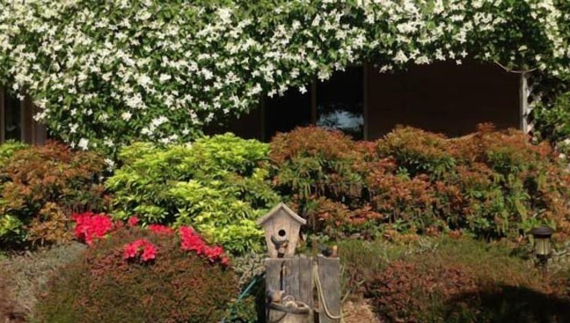 호텔 Enchanter Oceanview Suites