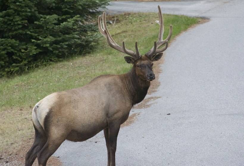 호텔 Enchanter Oceanview Suites