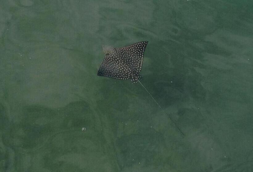 فندق Fish Hook Marina