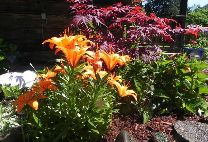 Отель Forest Echoes Cabins