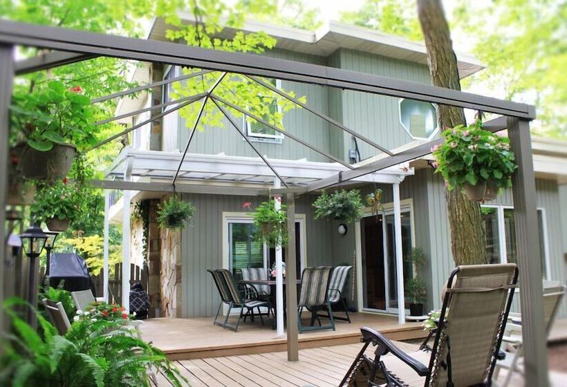 هتل Forest Hill Bed And Breakfast