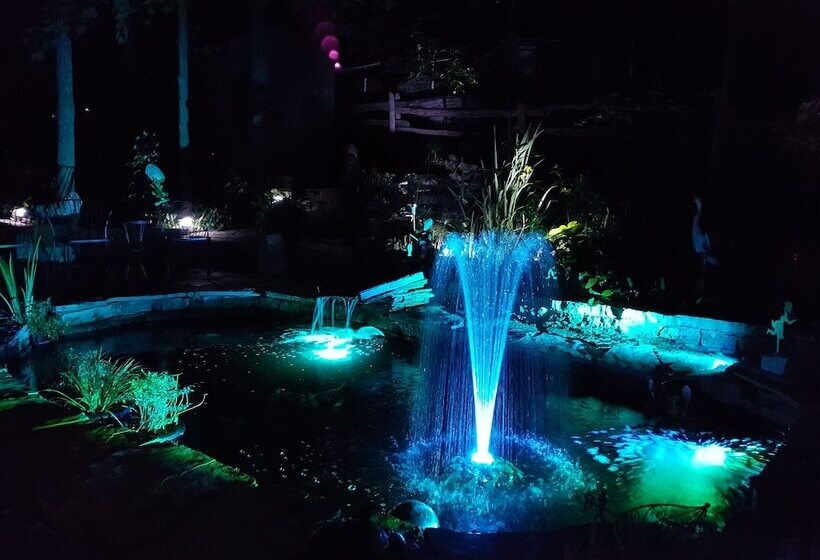 فندق Forest Hill Bed And Breakfast