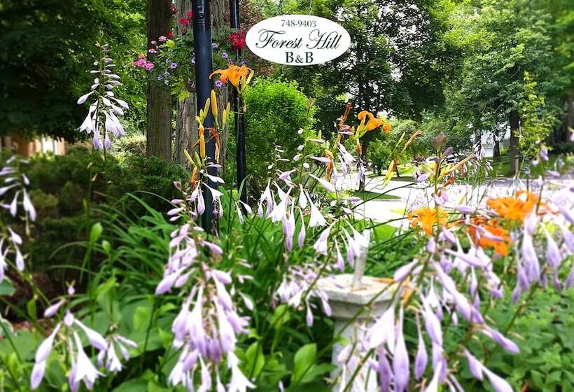 فندق Forest Hill Bed And Breakfast