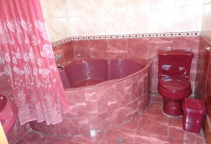 Отель Francis Puno