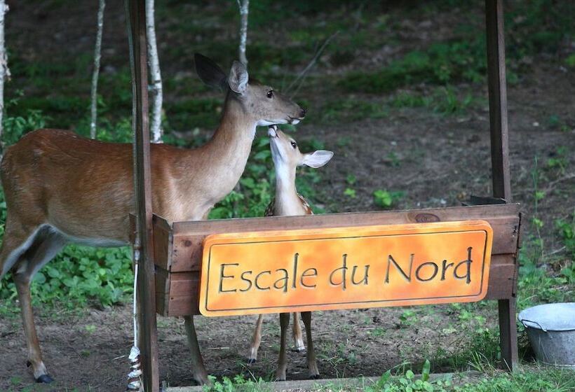 Отель Escale Du Nord