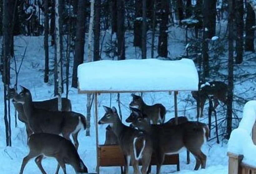 Отель Escale Du Nord