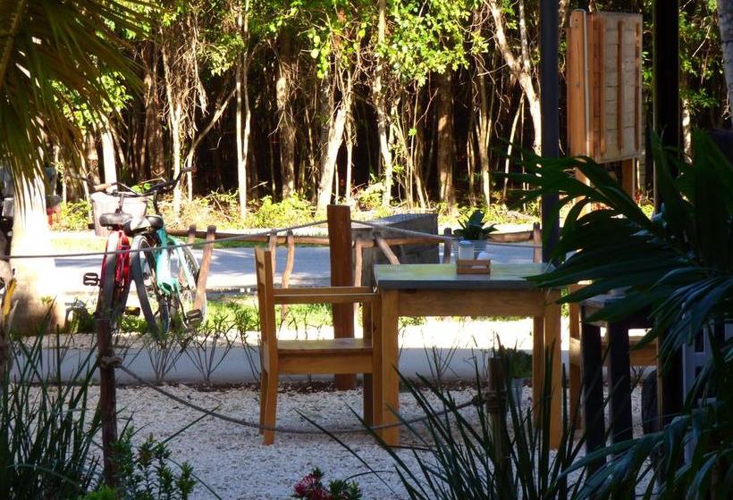 Hotel & Hostel El Punto