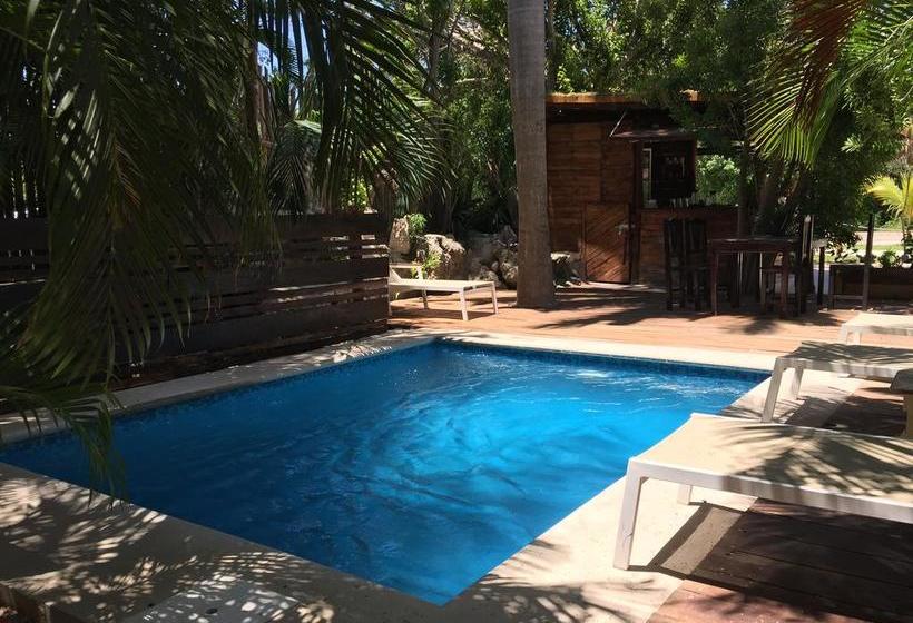 Hotel & Hostel El Punto