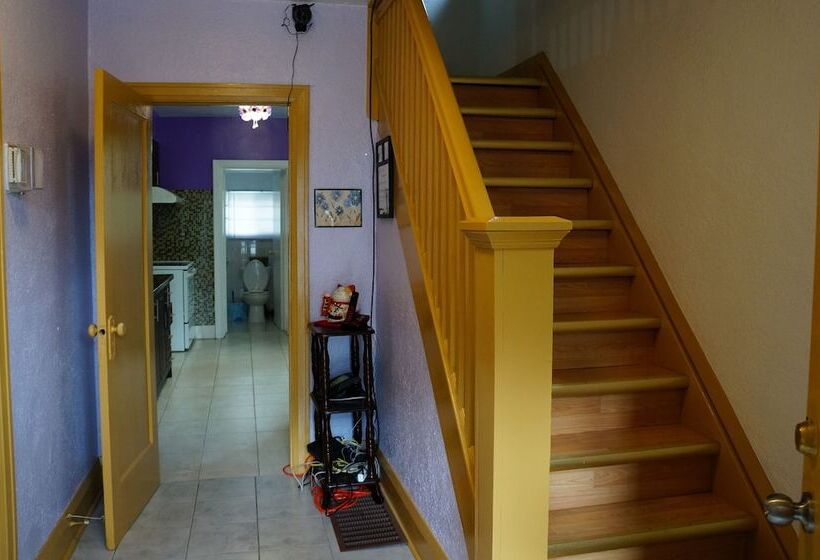 ホテル Kensington Market Hostel