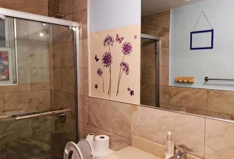 ホテル Kensington Market Hostel