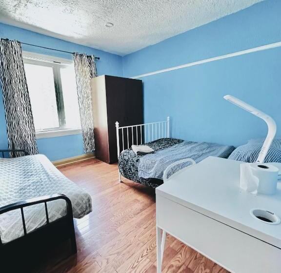 ホテル Kensington Market Hostel