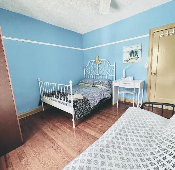 ホテル Kensington Market Hostel