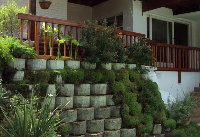 هتل Knysna Manor House