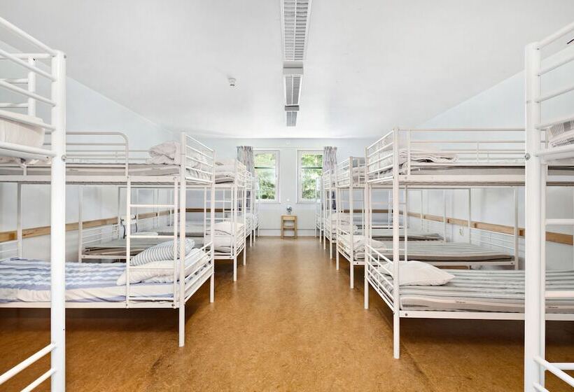 ホテル Krongården Vandrarhem