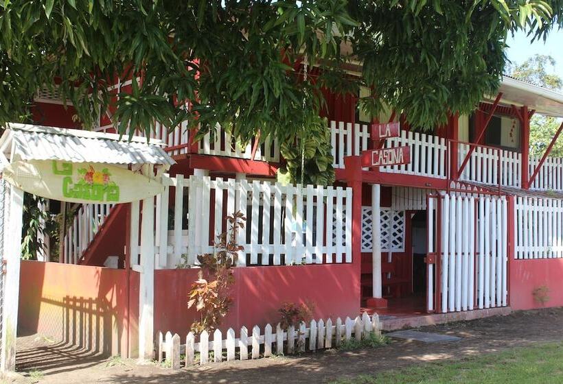 בית מלון כפרי La Casona De Tortuguero