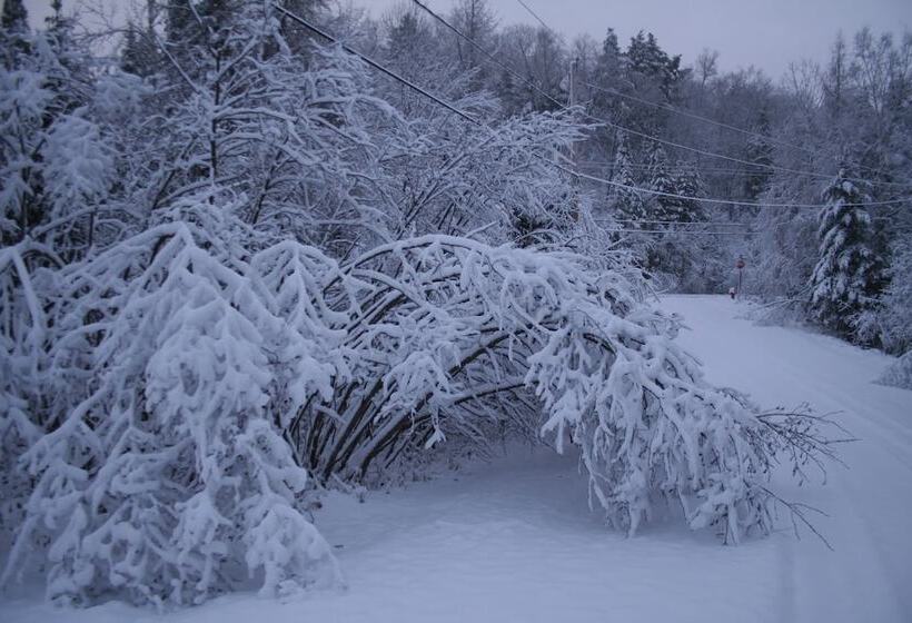 Отель La Chaumiere De L Anse