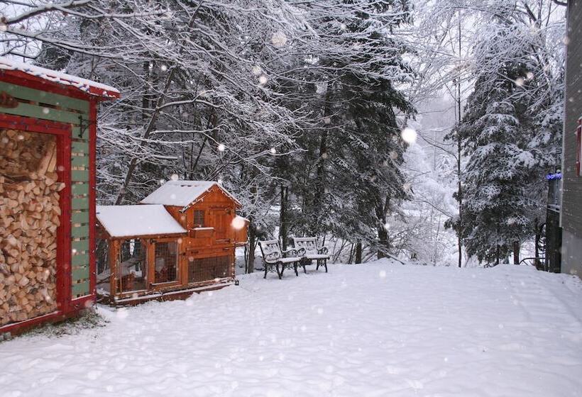 Отель La Chaumiere De L Anse