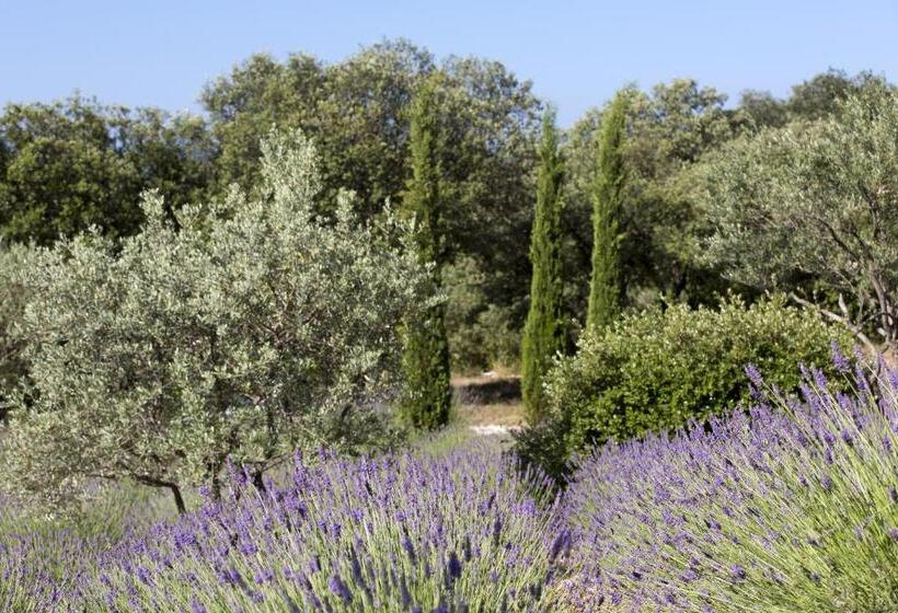 فندق La Clé Des Champs, Boutique Hôtel & Spa