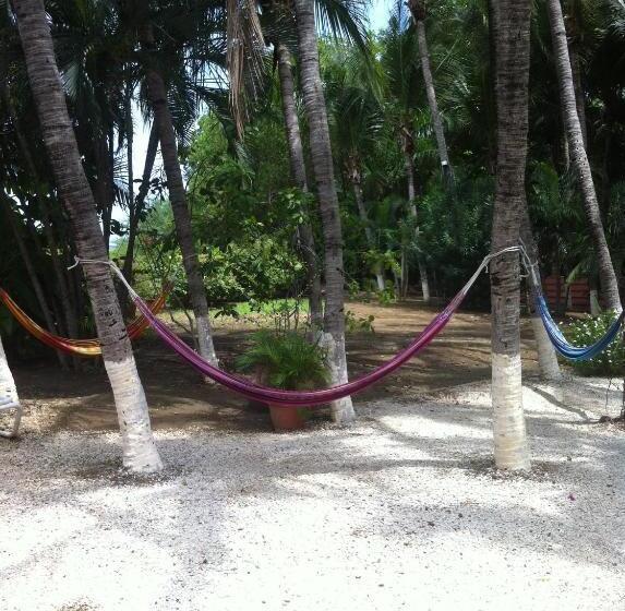 酒店 Laguna Del Cocodrilo