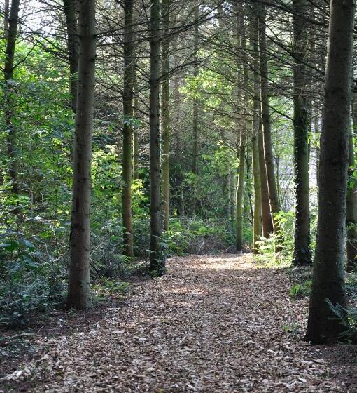 Отель Landgoed Huize Bergen Den Bosch  Vught