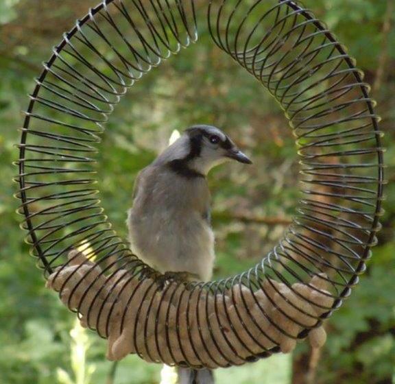 酒店 Jardins De L Achillée Millefeuille