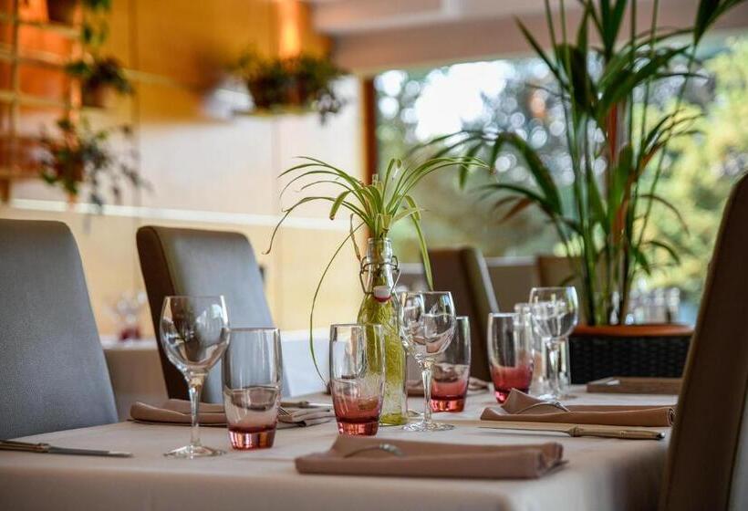 בית מלון כפרי Logis Hostellerie La Chaumiere