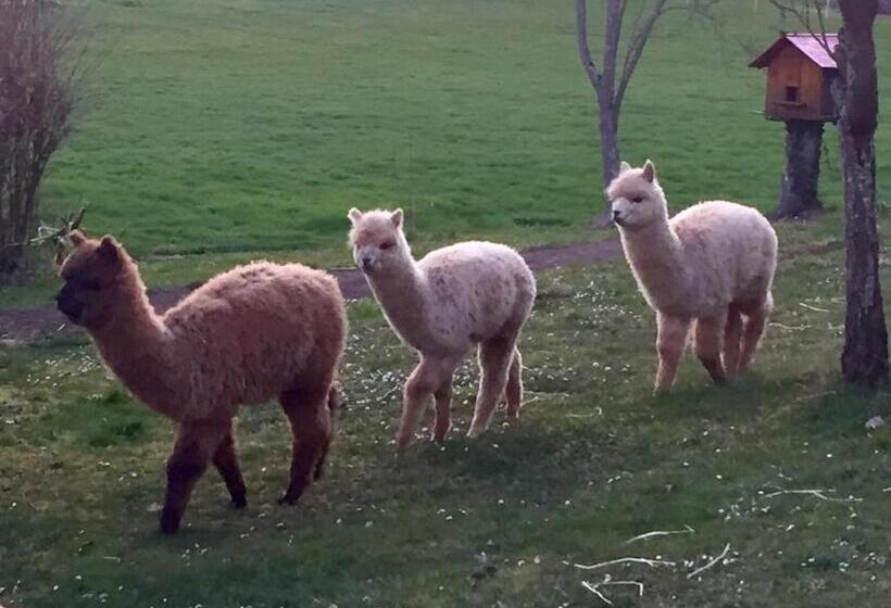 בית מלון כפרי Logis Hostellerie La Chaumiere