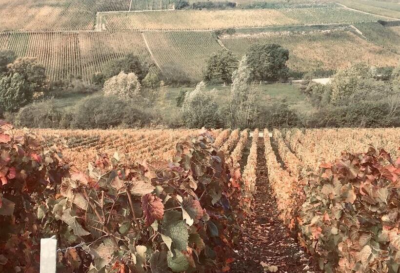 בית מלון כפרי Logis Hostellerie La Chaumiere