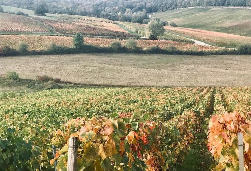 בית מלון כפרי Logis Hostellerie La Chaumiere