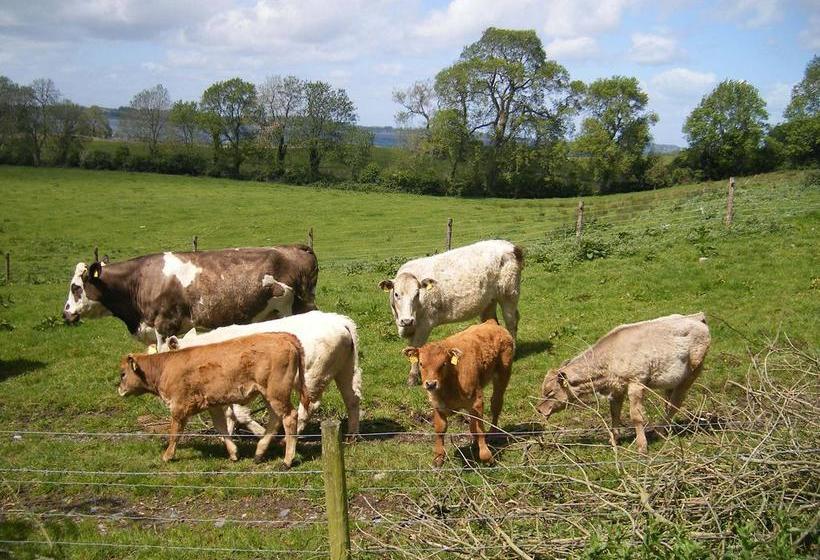 בית מלון כפרי Lough Owel Lodge