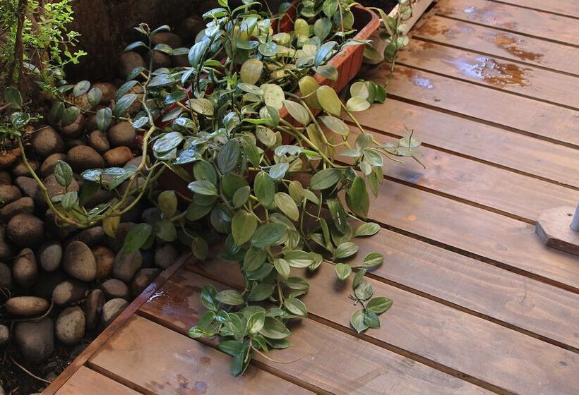 فندق Luz De Luna