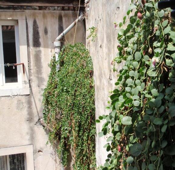 هتل Malena Palace Experience