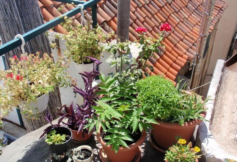 هتل Malena Palace Experience