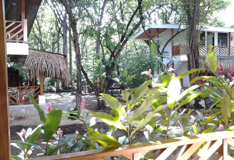 בית מלון כפרי Mamma Rosa Apart