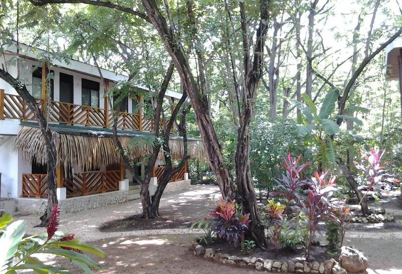 בית מלון כפרי Mamma Rosa Apart