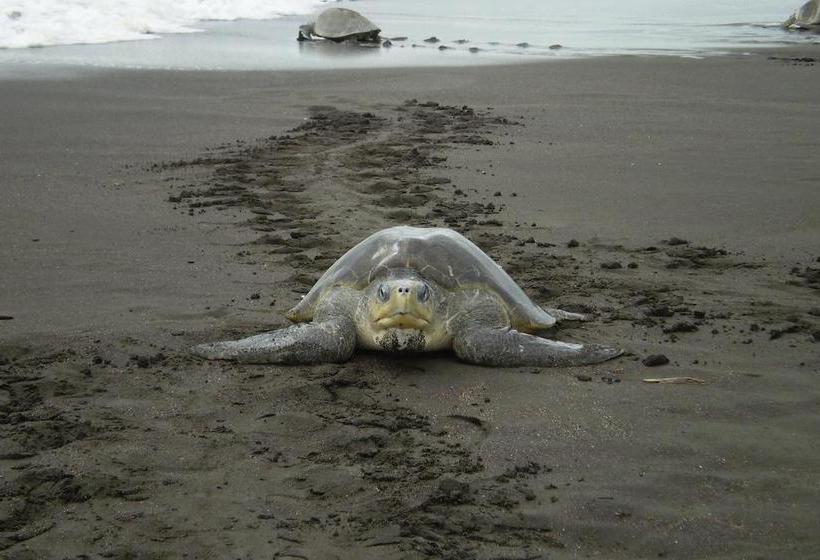 בית מלון כפרי Mamma Rosa Apart