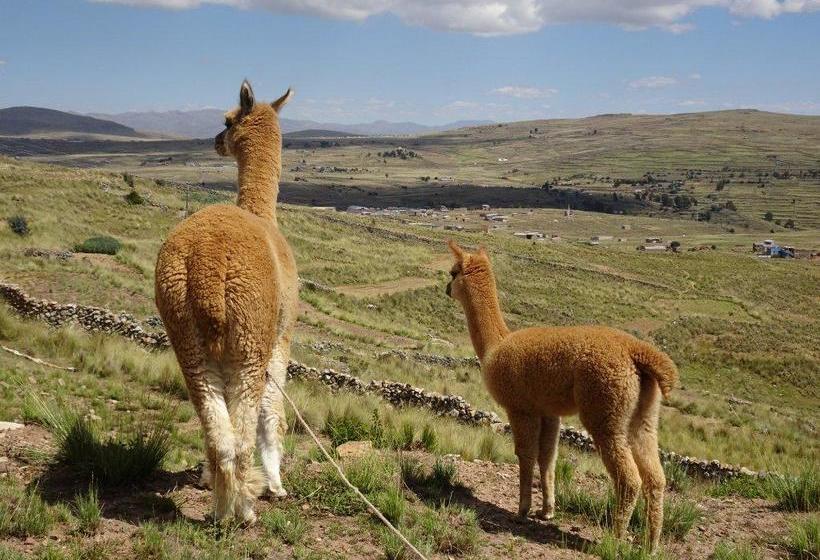 ホテル Mirador Del Titikaka