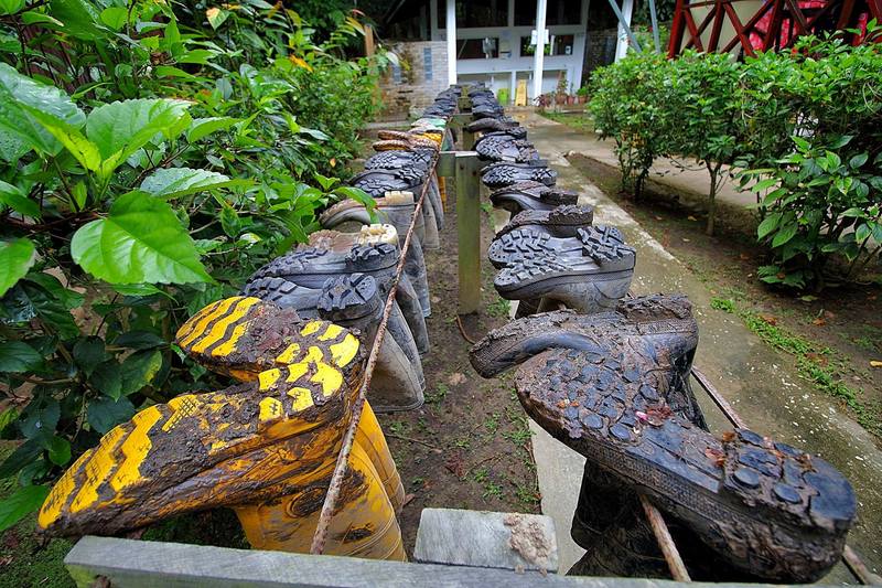 Отель Nature Lodge Kinabatangan