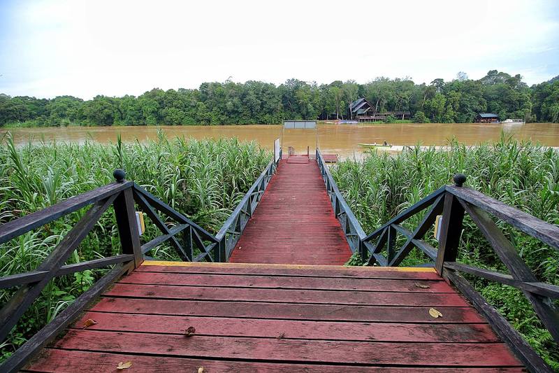 Отель Nature Lodge Kinabatangan