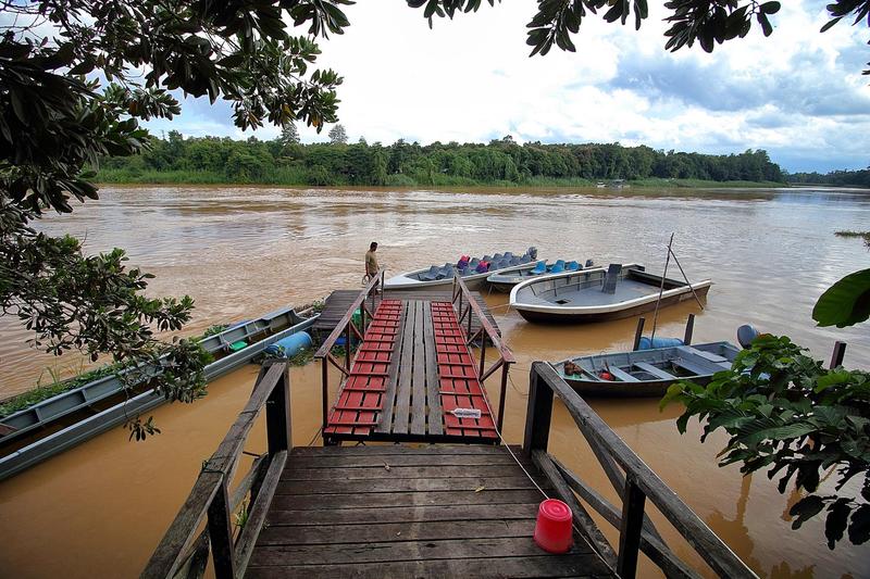 Отель Nature Lodge Kinabatangan