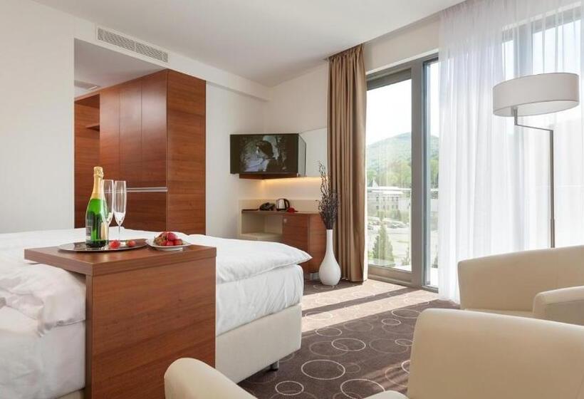 Wellness Hotel Panorama