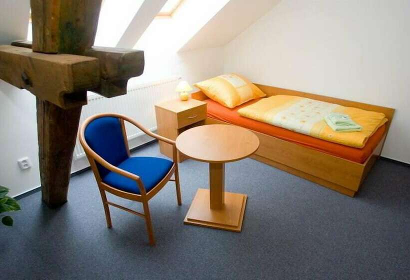 酒店 Pension Smetanuv Statek