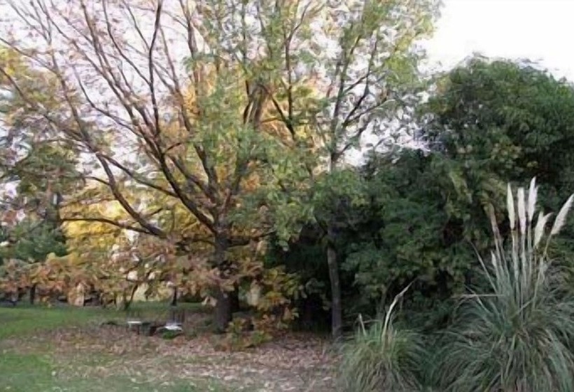 בית מלון כפרי Posada De La Plaza