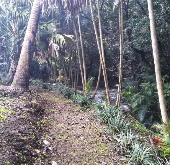 فندق Regenerate Wellness Center At Villas Escondidas