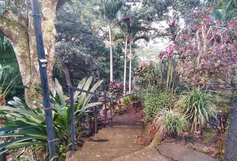 فندق Regenerate Wellness Center At Villas Escondidas