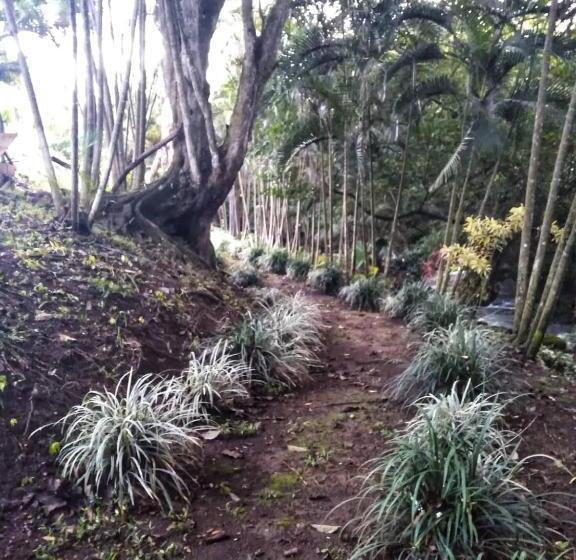 فندق Regenerate Wellness Center At Villas Escondidas